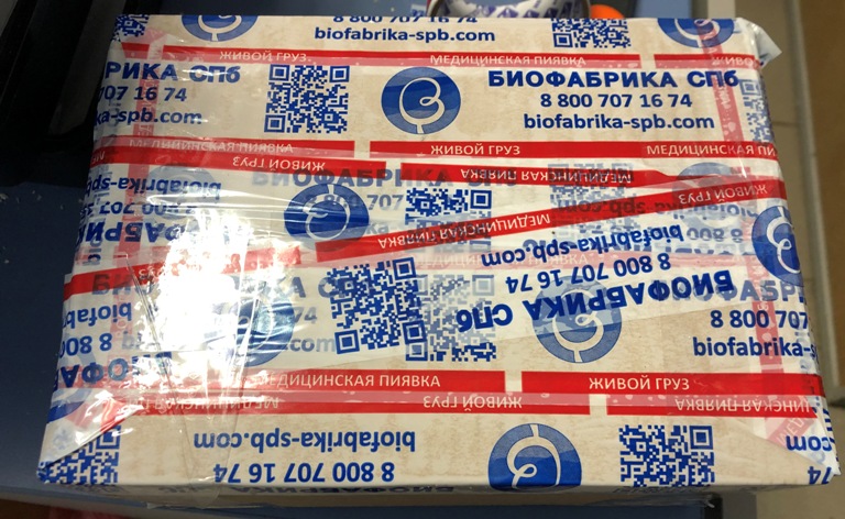 Как правильно перевозить медицинские пиявки?